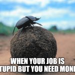 Dung Beetle Pushing Poop | WHEN YOUR JOB IS STUPID BUT YOU NEED MONEY | image tagged in dung beetle pushing poop | made w/ Imgflip meme maker