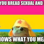 im breadsexual now :D | WHEN YOU BREAD SEXUAL AND NO ONE; KNOWS WHAT YOU MEAN | image tagged in bread sexual | made w/ Imgflip meme maker