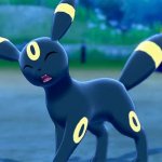 Umbreon what GIF Template