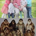 Nice vs Wild Families