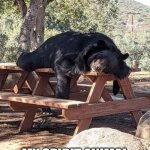 Spirit Bear | I HAVE FINALLY FOUND; MY SPIRIT ANIMAL | image tagged in sleeping bear | made w/ Imgflip meme maker