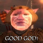 Good God! | GOOD GOD! | image tagged in autism cat good god,autism cat,elder scrolls,oblivion,good god,andalus font | made w/ Imgflip meme maker