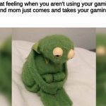 Why the heck- WHY DID YOU JUST TAKE IT | That feeling when you aren't using your gaming laptop and mom just comes and takes your gaming laptop | image tagged in depressed kermit | made w/ Imgflip meme maker