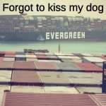 Wholesome | Forgot to kiss my dog | image tagged in evergreen boat in suez canal,suez,canal,evergreen,wholesome,dogs | made w/ Imgflip meme maker