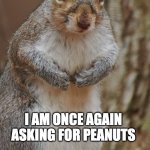 Serious Squirrel | I AM ONCE AGAIN ASKING FOR PEANUTS | image tagged in serious squirrel | made w/ Imgflip meme maker