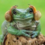 Frog with snails meme