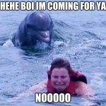 Dangerous Dolphin | HEHE BOI IM COMING FOR YA; NOOOOO | image tagged in dangerous dolphin | made w/ Imgflip meme maker