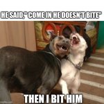 Laughing Dogs | HE SAID," COME IN HE DOESN'T BITE"; THEN I BIT HIM | image tagged in laughing dogs | made w/ Imgflip meme maker