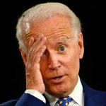 Joe Biden Puzzled 9 hands to face