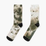 wet moldy socks