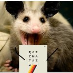 Possum loves idkhow :) | image tagged in awesome possum,possum,i dont know what i am doing | made w/ Imgflip meme maker