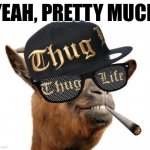 Yeah pretty much thug life camel