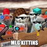 box of cats | MLG KITTINS | image tagged in box of cats | made w/ Imgflip meme maker