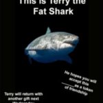 Terry the fat shark