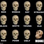 Reject Humanity, Return to Monke | MONKE | image tagged in monkey skull,monke | made w/ Imgflip meme maker