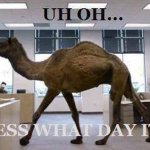 Happy Hump Day guess what day it is