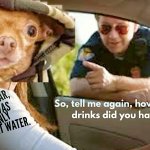 dogs and cops