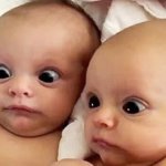 Surprised babies