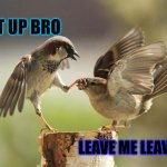 Birds shut up | SHUT UP BRO; LEAVE ME LEAVE ME | image tagged in birds shut up | made w/ Imgflip meme maker