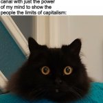 Black cat staring at me | Me: *Meows to my cat*
 
My cat wondering how I could purposely get that ship stuck in the Suez canal with just the power of my mind to show the people the limits of capitalism: | image tagged in black cat staring | made w/ Imgflip meme maker