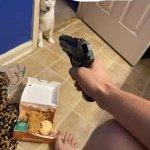 Gun to cat