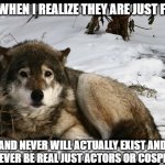 second part of the meme | ME WHEN I REALIZE THEY ARE JUST FAKE; AND NEVER WILL ACTUALLY EXIST AND WONT EVER BE REAL JUST ACTORS OR COSPLAYERS | image tagged in sad wolf | made w/ Imgflip meme maker