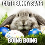 Easter bunny | CUTE BUNNY SAYS; BOING BOING | image tagged in easter bunny | made w/ Imgflip meme maker