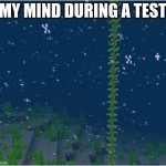 My Mind During A Test | MY MIND DURING A TEST | image tagged in what happened | made w/ Imgflip meme maker