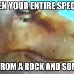 Potatoe | WHEN YOUR ENTIRE SPECIES; DIES FROM A ROCK AND SOME ICE | image tagged in potatoe | made w/ Imgflip meme maker