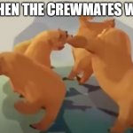This is true for most people | WHEN THE CREWMATES WIN | image tagged in bears dancing | made w/ Imgflip meme maker