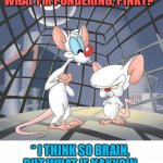 ArE yOu PoNdErInG wHat I’m PoNdErInG? | “ARE YOU PONDERING WHAT I’M PONDERING, PINKY?” “ I THINK SO BRAIN, BUT WHAT IF KAKYOIN ACTUALLY DID LAY THAT EGG?” | image tagged in pinky and the brain,cartoon,cringe worthy,jojo's bizarre adventure,just why | made w/ Imgflip meme maker