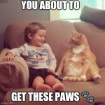 Funny animals | YOU ABOUT TO; GET THESE PAWS 🐾 | image tagged in funny animals | made w/ Imgflip meme maker