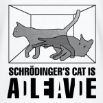 schrodinger's cat