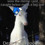 Upvote the meme below this one! | wow the meme i just caught below me is a big one; Deserves a updoot. | image tagged in wth deer | made w/ Imgflip meme maker
