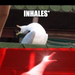 just let the neighborhood sleep! | NOBODY:
BABIES AT 3 AM; INHALES*; SCREAM!!!!!!! | image tagged in screamin seagull,memes,funny memes,funny,yes,lol | made w/ Imgflip meme maker