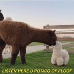 LISTEN HERE U POTATO OF FLOOF