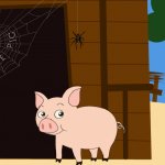 Silly pig and the spider