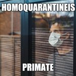 lockdown | HOMOQUARANTINEIS; PRIMATE | image tagged in lockdown | made w/ Imgflip meme maker
