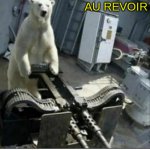 polar bear au revoir