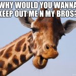 Comeback Giraffe | WHY WOULD YOU WANNA KEEP OUT ME N MY BROS? | image tagged in comeback giraffe | made w/ Imgflip meme maker