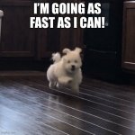 I’m Going as Fast as I Can | I’M GOING AS FAST AS I CAN! | image tagged in i m going as fast as i can | made w/ Imgflip meme maker