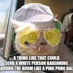 Fear And Loathing Cat Meme | A THING LIKE THAT COULD SEND A WHITE PERSON KARENNING AROUND THE ROOM LIKE A PING PONG BALL | image tagged in memes,fear and loathing cat | made w/ Imgflip meme maker