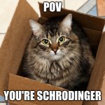 Uh oh | POV; YOU'RE SCHRODINGER | image tagged in schrodinger magician,schrodinger,cat,cat memes,memes,pov | made w/ Imgflip meme maker