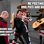 Dog post loyal friends | ME POSTING DOG PICS AND VIDEOS; MY FRIENDS WHO SOMEHOW HAVEN'T UNFOLLOWED ME YET | image tagged in q playing trumpet in star trek,dogs,funny,memes,dog posts | made w/ Imgflip meme maker