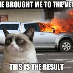grumpy cat | HE BROUGHT ME TO THE VET; THIS IS THE RESULT | image tagged in grumpy cat car on fire,grumpy cat,grumpy stuff,cats | made w/ Imgflip meme maker