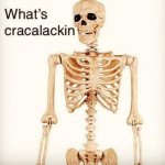 What's cracalackin