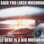 grumpy cat | YOU SAID YOU LIKED MUSHROOMS. WELL HERE IS A BIG MUSHROOM. | image tagged in grumpy cat,grumpy cat not amused,grumpy,cats,memes | made w/ Imgflip meme maker