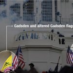 Maga riot symbols Gadsden flags