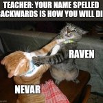 Two cats fighting for real | TEACHER: YOUR NAME SPELLED BACKWARDS IS HOW YOU WILL DIE; RAVEN; NEVAR | image tagged in two cats fighting for real | made w/ Imgflip meme maker