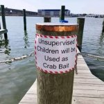 Unsupervised children crab bait